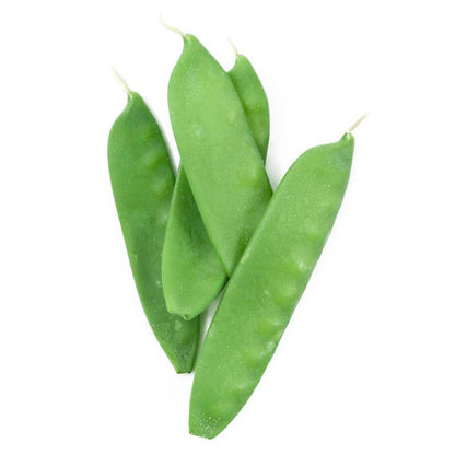 Oregon Sugar Pod Pea seeds green pea pods four-pack on Tampa Home & Garden Store