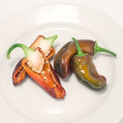 Chocolate Sweet Pepper seeds, sliced peppers exposing seeds on a white plate Seedtime Store on Tampa Home & Garden Store