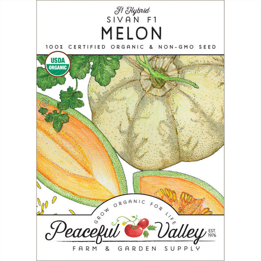 Graines de melon Sivan (biologiques)