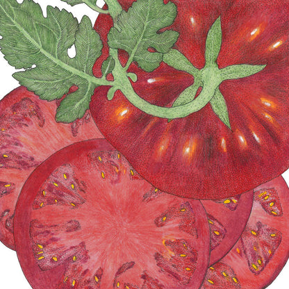 Tomato seeds Brandywine Black Tomato, red heirloom tomatoes with green stems and sliced view on Tampa Home & Garden Store