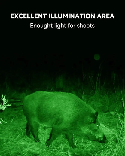 Langy Solar Lights green hunting light 15,000lumens for hogs/deer, outdoor solar illumination on Tampa Home & Garden Store