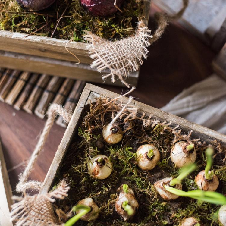 Solid Wood Crate With Rope Handles (2 shown) moss-filled with budding bulbs, RusticReach on Tampa Home & Garden Store