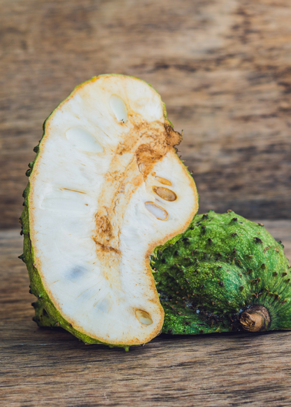 Soursop Tree(Annona muricata)