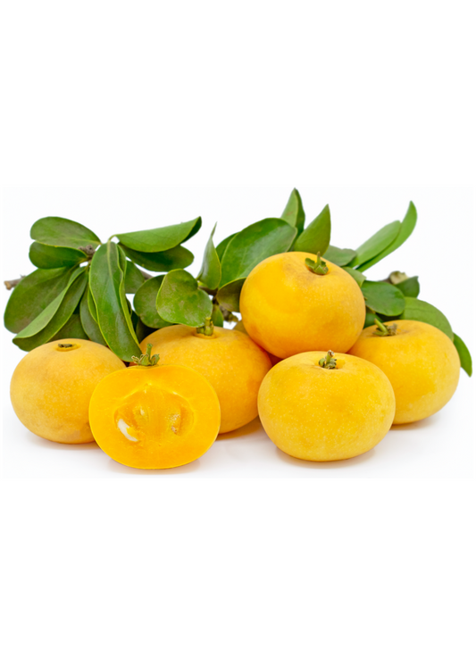 Kei Apple fruits cluster from Sow Exotic tropical tree with yellow-orange skin and glossy green leaves on Tampa Home & Garden Store