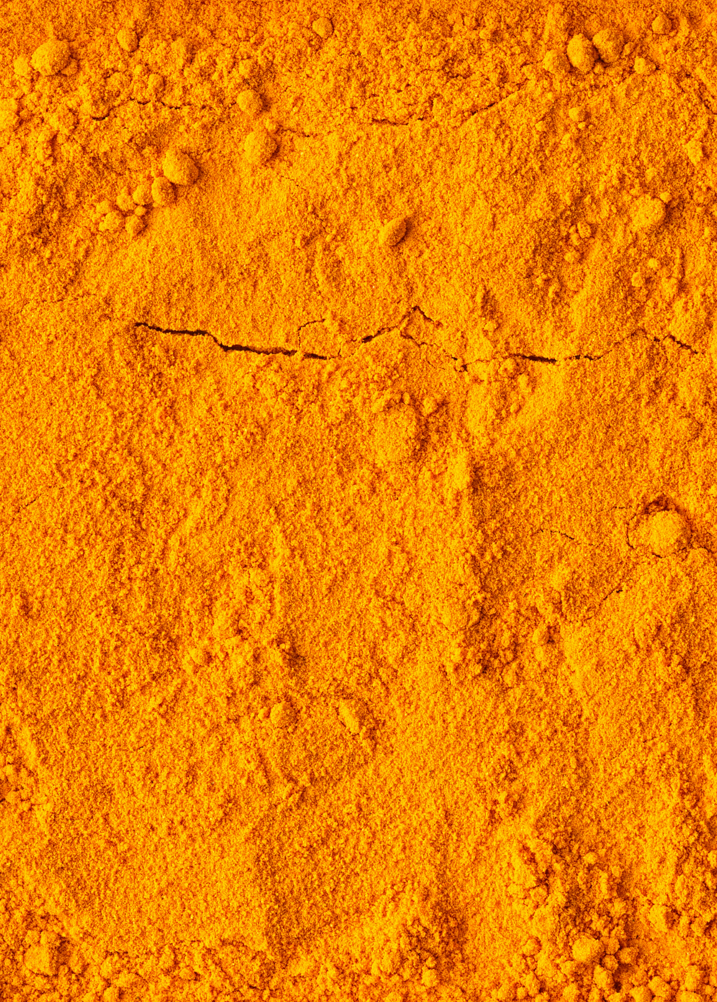 Planta de cúrcuma, naranja (Curcuma longa)