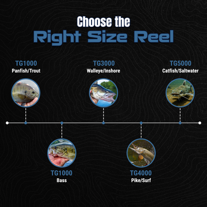 Reaction Tackle High-Performance Fishing Reels- Spinning Reel Series - NEW