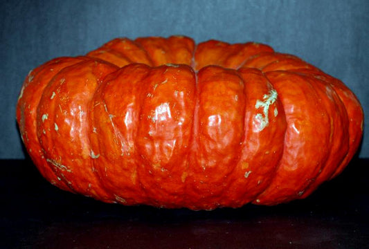Rouge Vif d’Etampes Cinderella pumpkin, orange ribbed heirloom pumpkin on Tampa Home & Garden Store