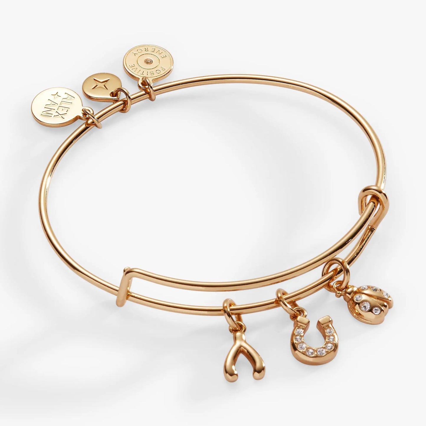 Love and Luck Multi-Charm Bangle Ladybug
