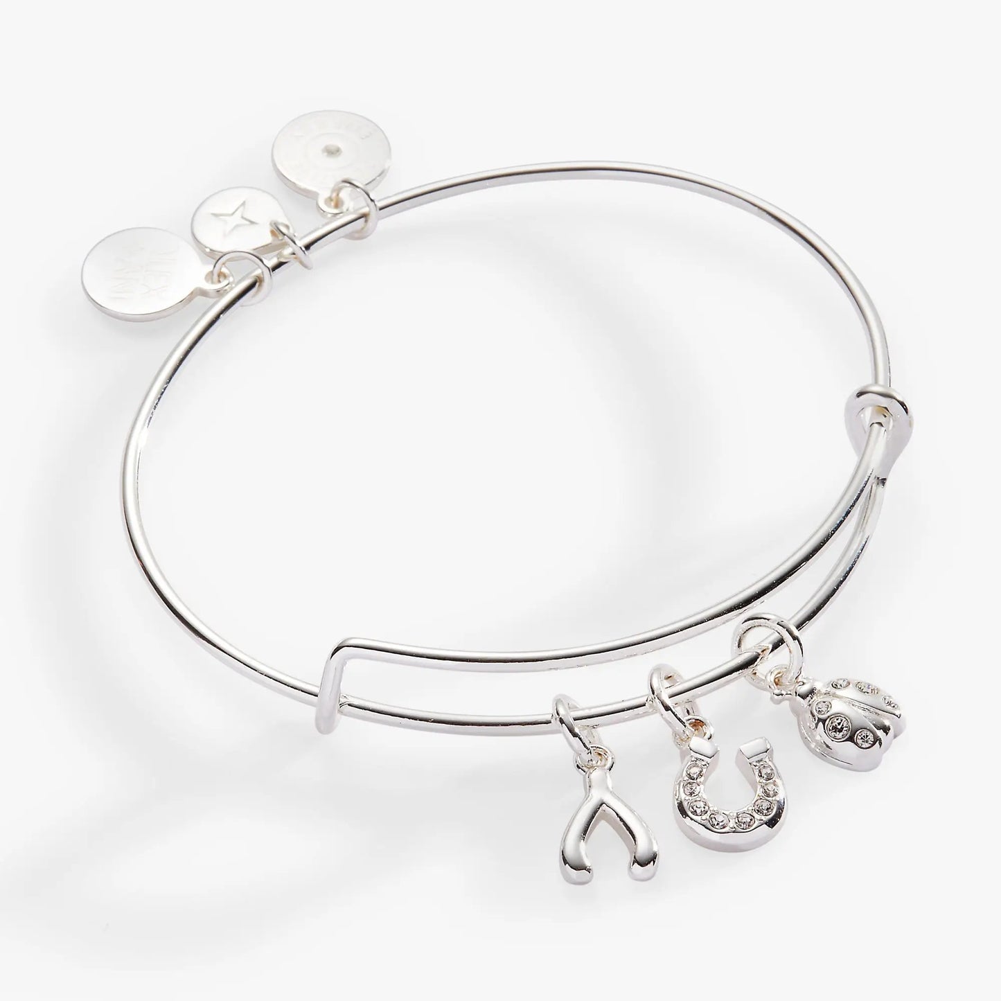 Love and Luck Multi-Charm Bangle Ladybug