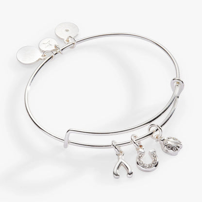 Love and Luck Multi-Charm Bangle Ladybug
