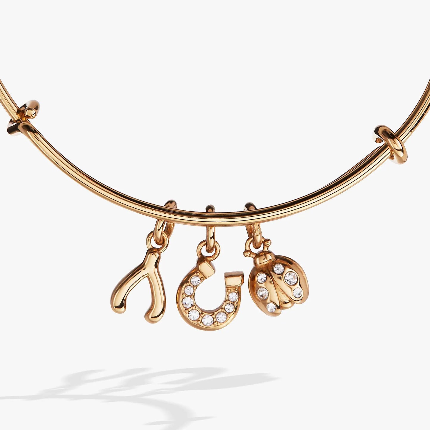 Love and Luck Multi-Charm Bangle Ladybug