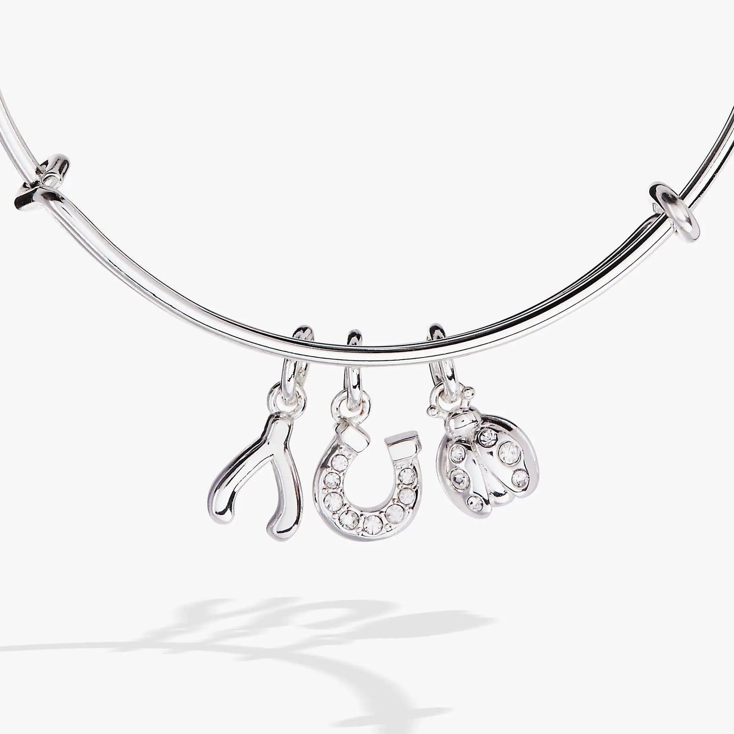 Love and Luck Multi-Charm Bangle Ladybug