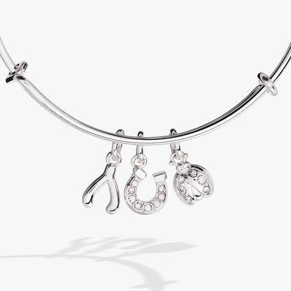 Love and Luck Multi-Charm Bangle Ladybug