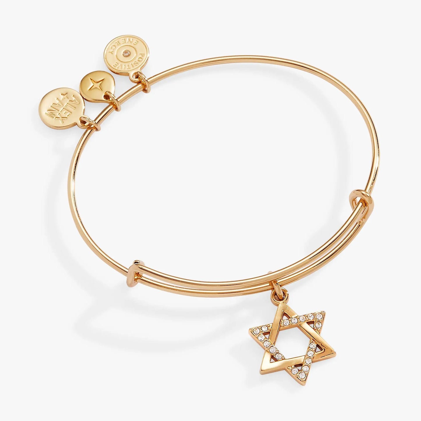 Gold-tone Star of David bangle with crystal-accent pendant and three ALEX AND ANI charms on Tampa Home & Garden Store