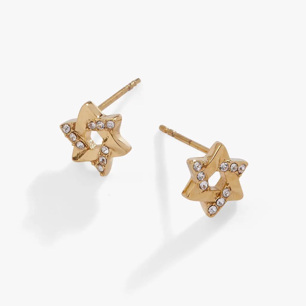 Gold-tone Star of David mini stud earrings with crystal accents, ALEX AND ANI on Tampa Home & Garden Store