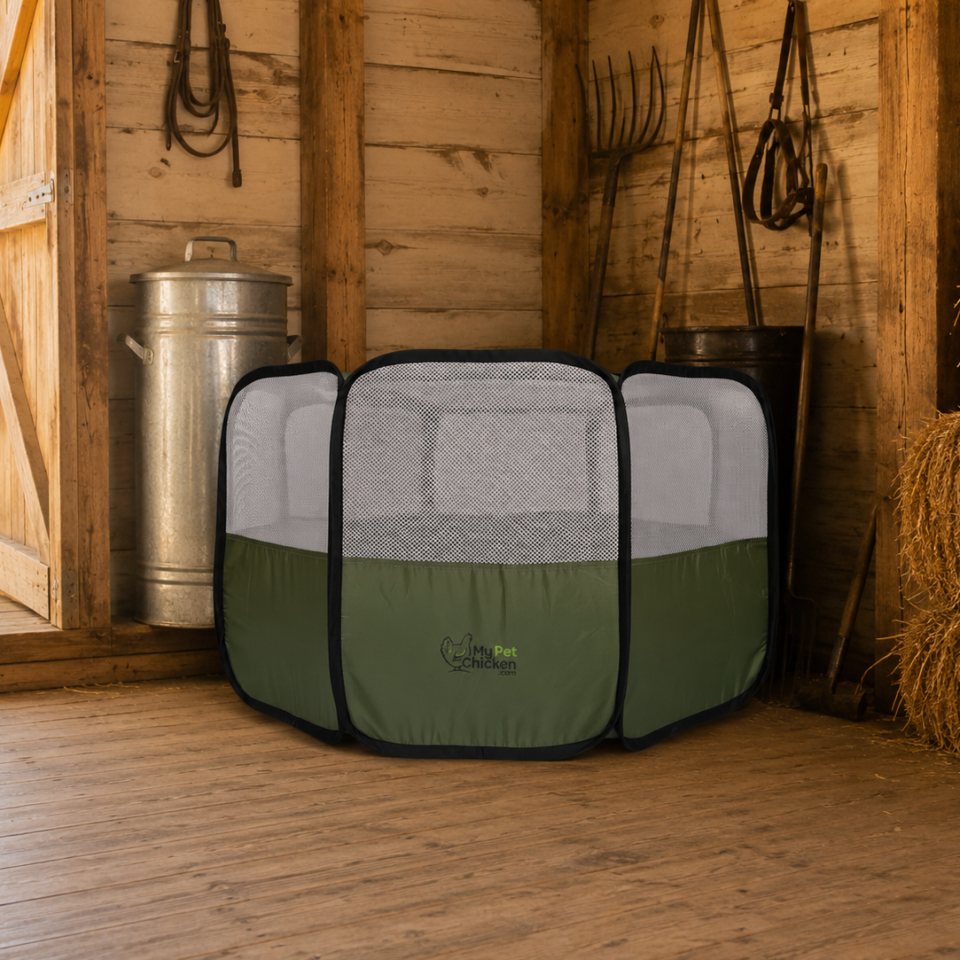 Hen Pen Starter Pop-Up Chick Brooder green with mesh panels by My Pet Chicken on Tampa Home & Garden Store