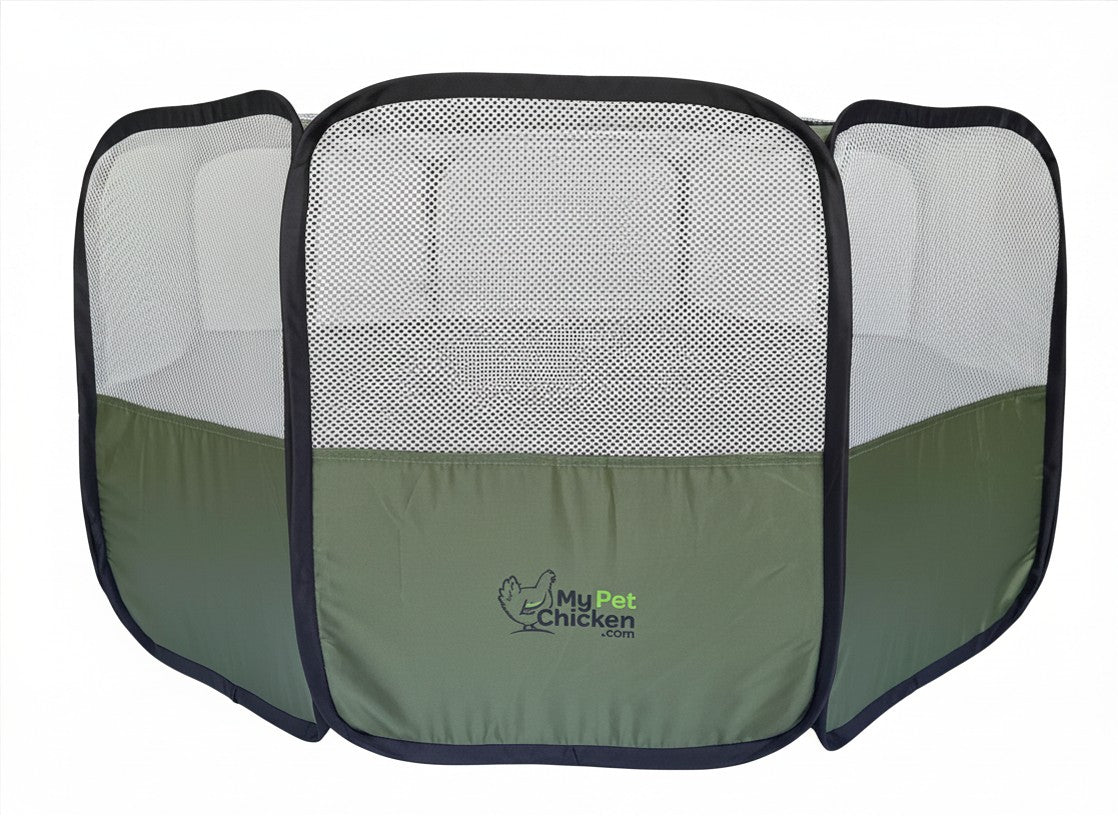 Hen Pen Starter Pop-Up Chick Brooder olive green mesh sides My Pet Chicken on Tampa Home & Garden Store