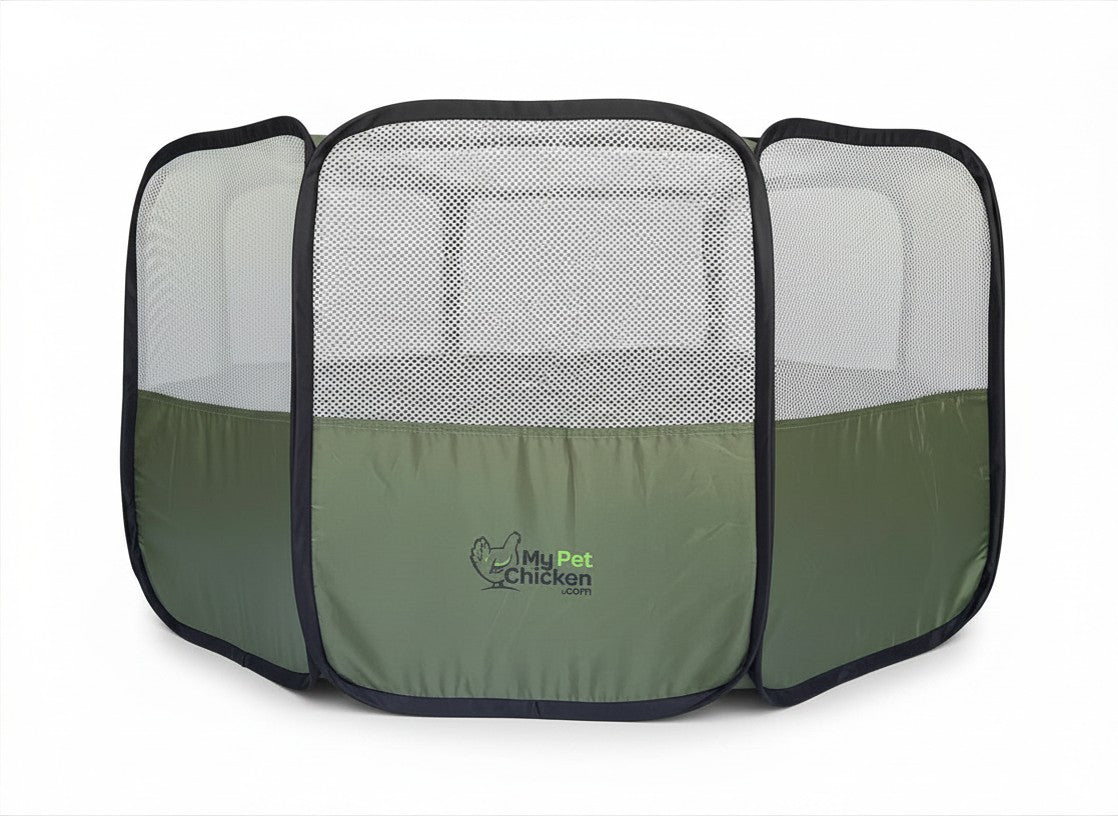 Hen Pen Starter Pop-Up Chick Brooder by My Pet Chicken, green base panels with mesh sides on Tampa Home & Garden Store