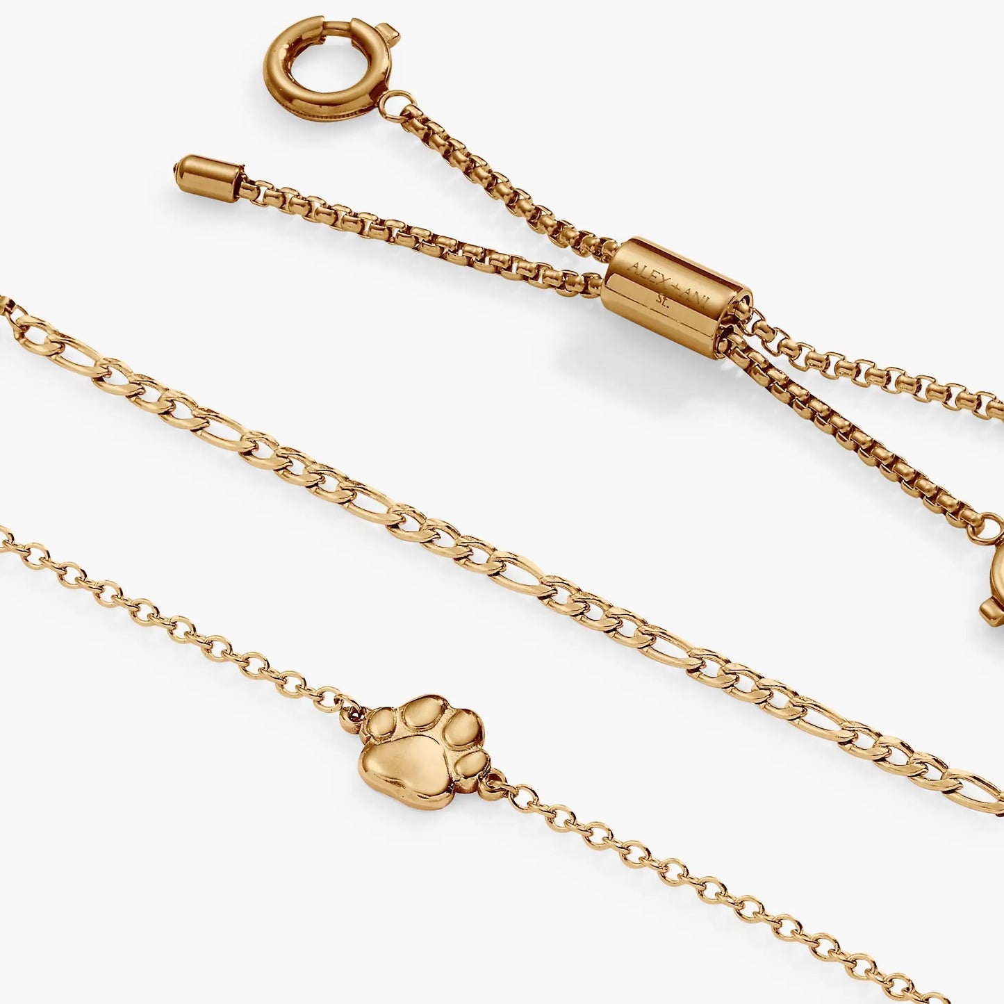 Paw Print Stranded Bracelet Set gold-tone chain with paw print charm by ALEX AND ANI on Tampa Home & Garden Store