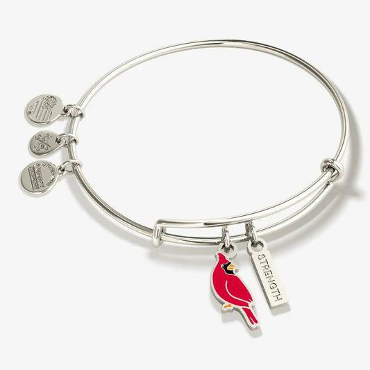 Strength Cardinal Bangle with cardinal charm and STRENGTH tag, Alex and Ani silver bracelet on Tampa Home & Garden Store