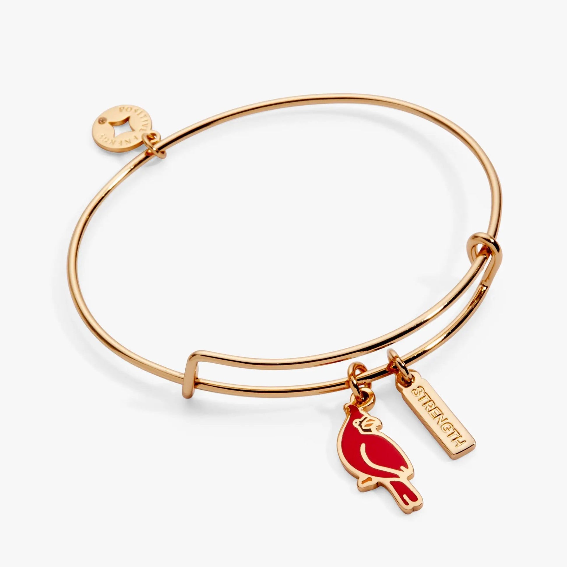Strength Cardinal Duo Charm Bangle Bracelet by Alex and Ani in rose gold with Strength charm on Tampa Home & Garden Store