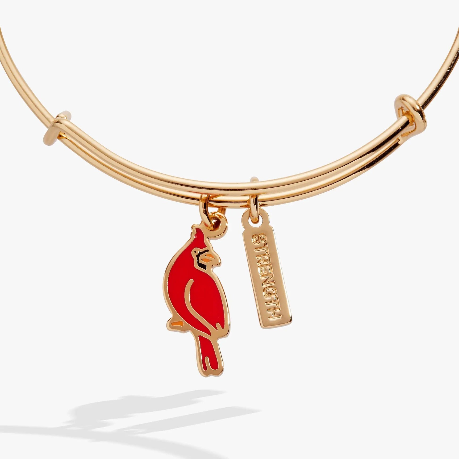 Strength Cardinal Duo Charm Bangle Bracelet by ALEX AND ANI, rose-gold tone with red cardinal enamel charm and STRENGTH tag on Tampa Home & Garden Store