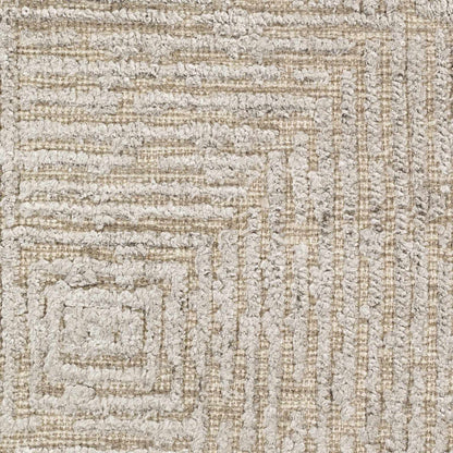 Struie Area Rug by Boutique Rugs in beige textured woven pattern on Tampa Home & Garden Store