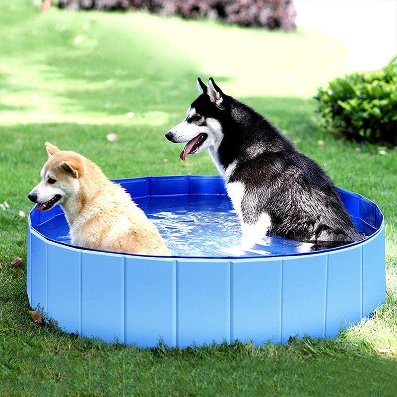Foldable blue round dog pool, PVC tub, with two dogs cooling off in water on green lawn on Tampa Home & Garden Store