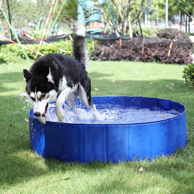Foldable dog pool Stevvex blue PVC outdoor pool with husky splashing water on Tampa Home & Garden Store