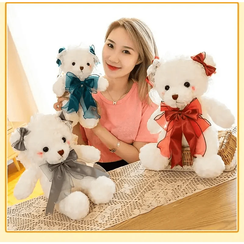 Cute Teddy Bear With Dress And Holiday Gift