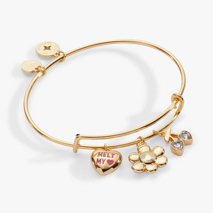 Sweethearts Melt My Heart multi charm bangle in rose gold with ALEX AND ANI disc charms on Tampa Home & Garden Store