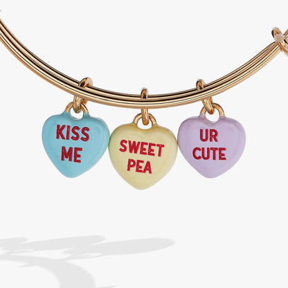 Sweethearts Multi Heart Charm Bangle with Kiss Me