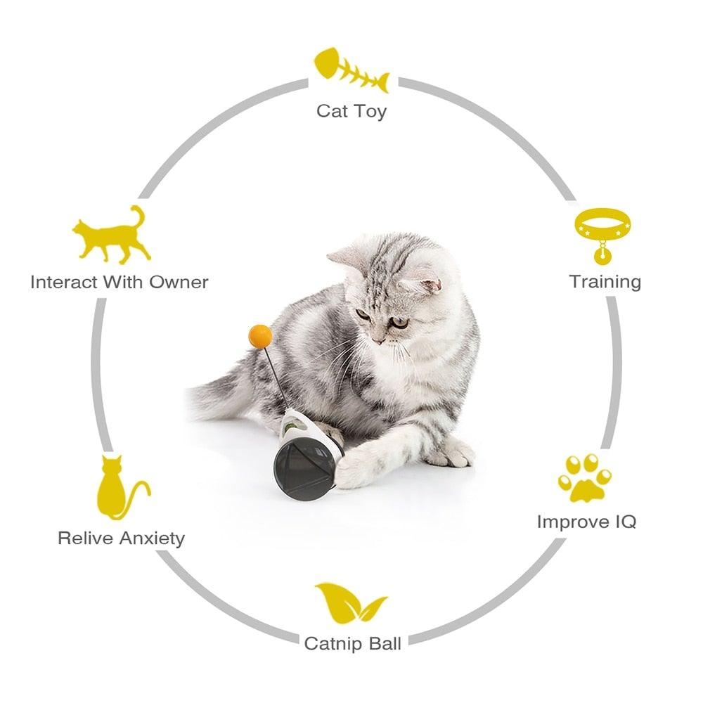 Stevvex Swing Toys for Cats Kitten Interactive Balance Car with Catnip Ball and Feather on Tampa Home & Garden Store
