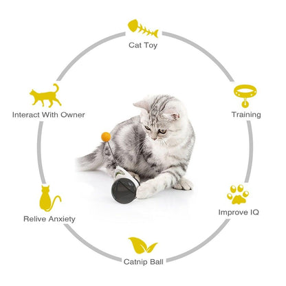 Stevvex Swing Toys for Cats Kitten Interactive Balance Car with Catnip Ball and Feather on Tampa Home & Garden Store