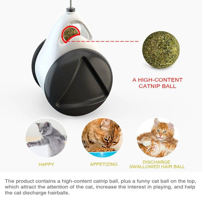 Swing Toys for Cats Kitten Interactive Balance Car with Catnip Ball by Stevvex on Tampa Home & Garden Store