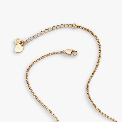 Gold-tone Sweethearts Box Locket and Heart Charm necklace with ALEX AND ANI tag on Tampa Home & Garden Store