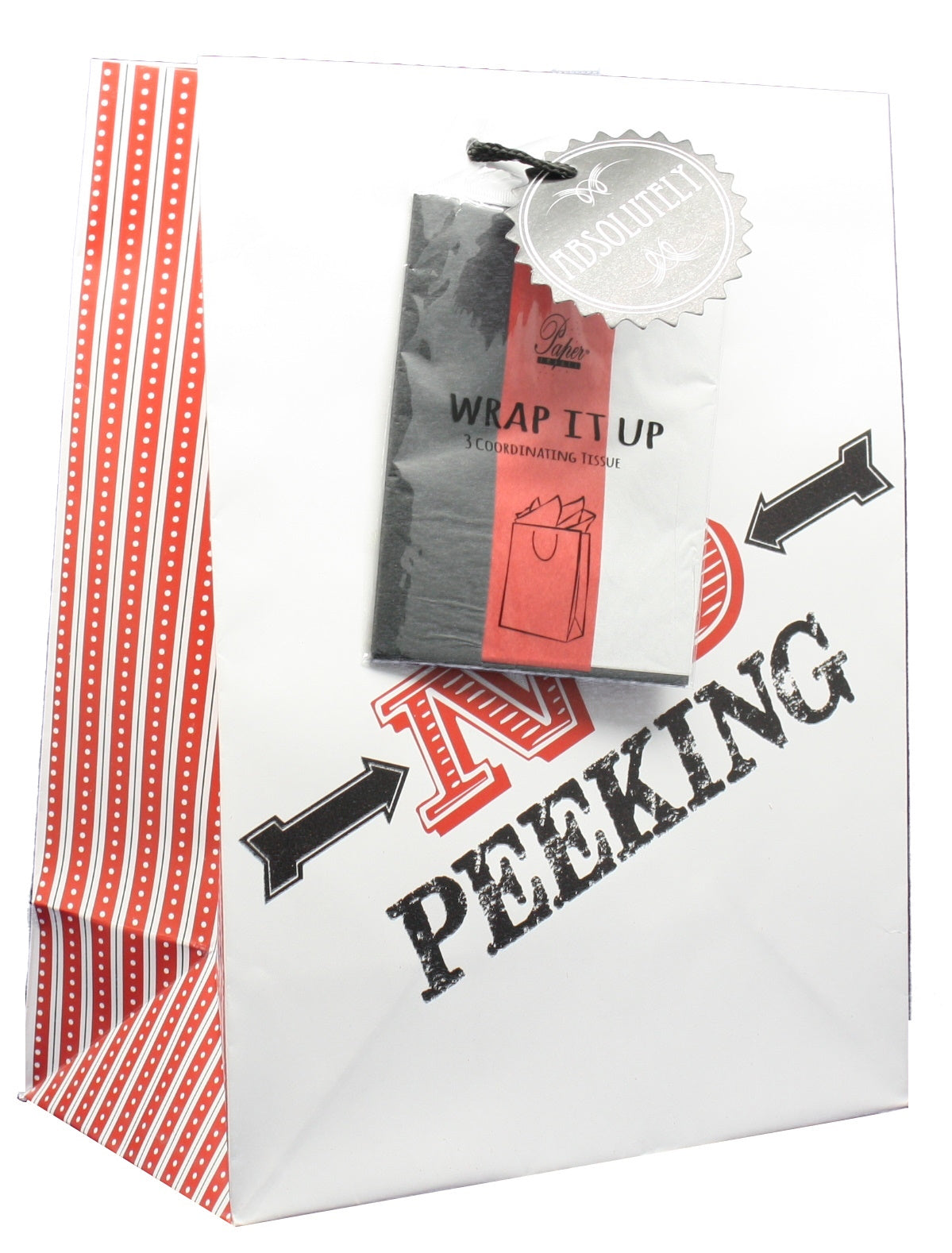 Large Gift Bag With Tissue - No Peeking