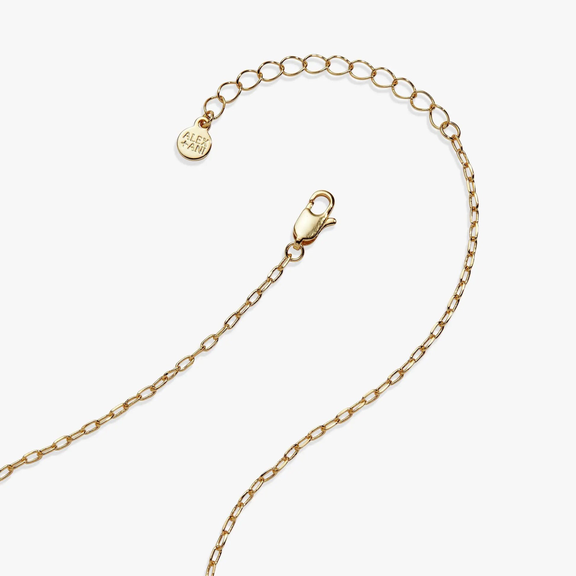 Taco Truck Locket Necklace gold-tone chain with ALEX AND ANI tag, lobster clasp on Tampa Home & Garden Store