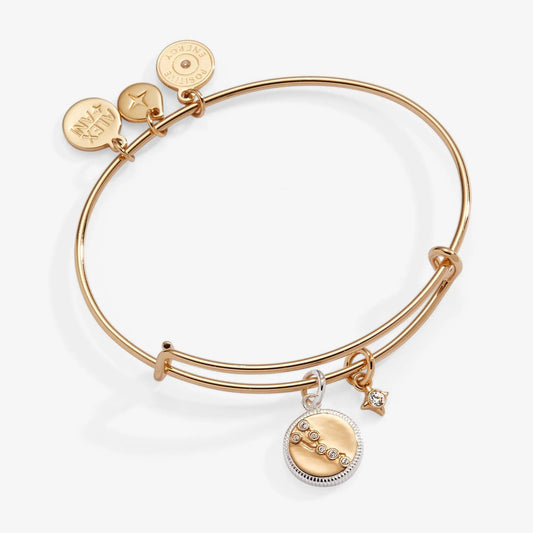 Taurus Zodiac Charm Bangle by Alex and Ani in rose gold tone with disc charms on Tampa Home & Garden Store