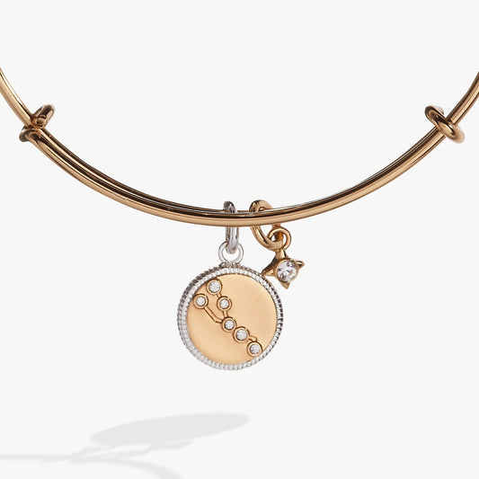 Taurus Zodiac Charm Bangle by ALEX AND ANI, rose-gold tone bracelet with crystal pendant on Tampa Home & Garden Store