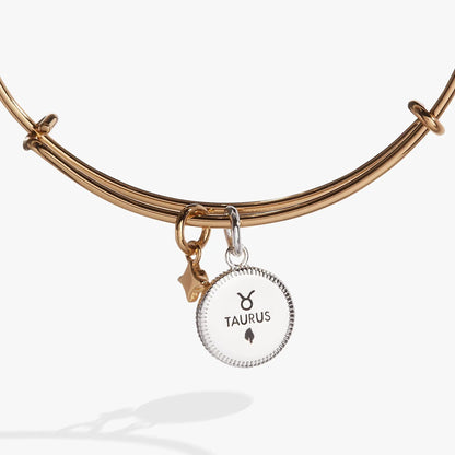 Taurus Zodiac Charm Bangle by Alex and Ani in rose-gold with Taurus pendant and star charm on Tampa Home & Garden Store