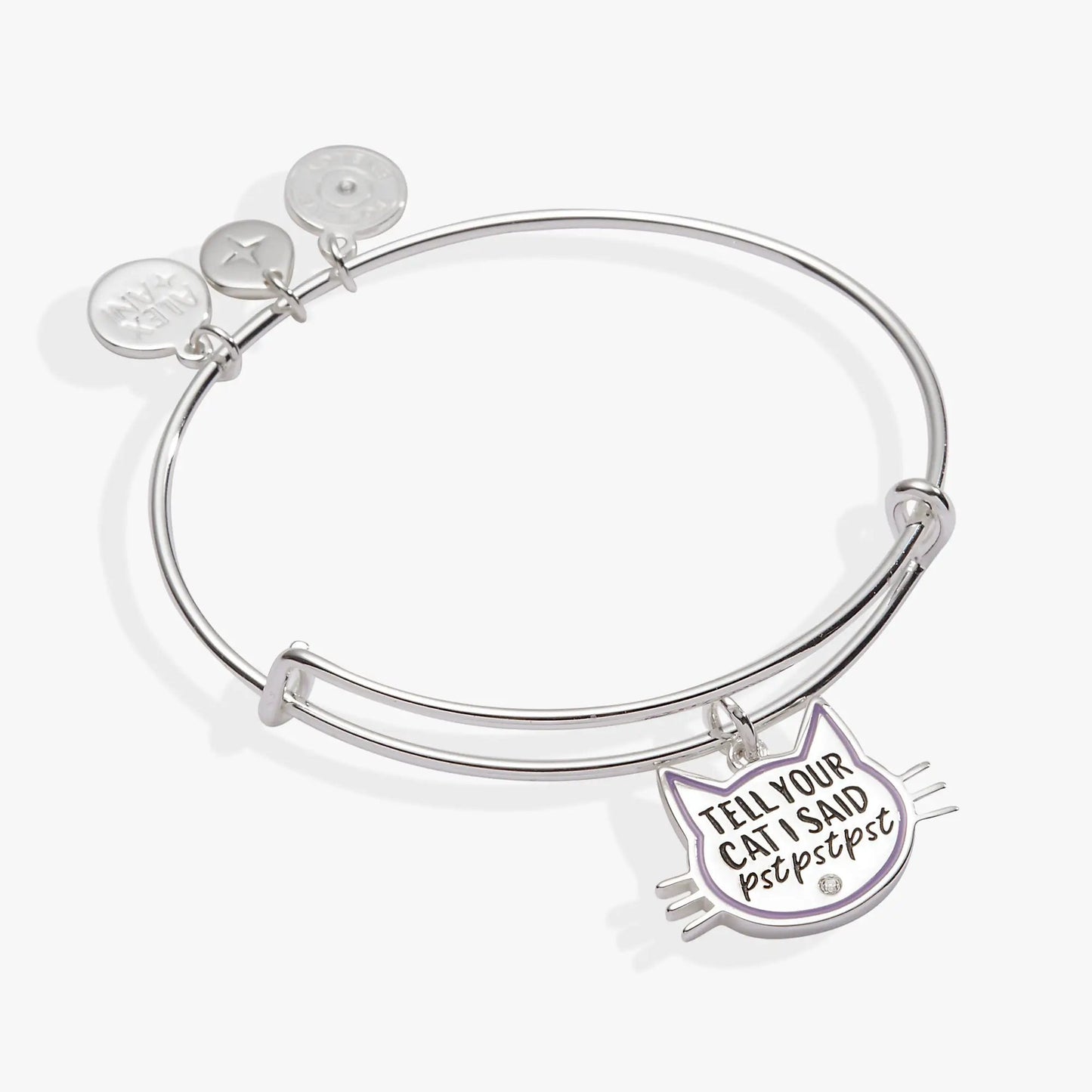 Tell Your Cat I Said Pst Pst Pst bangle by ALEX AND ANI with round disc charms on Tampa Home & Garden Store