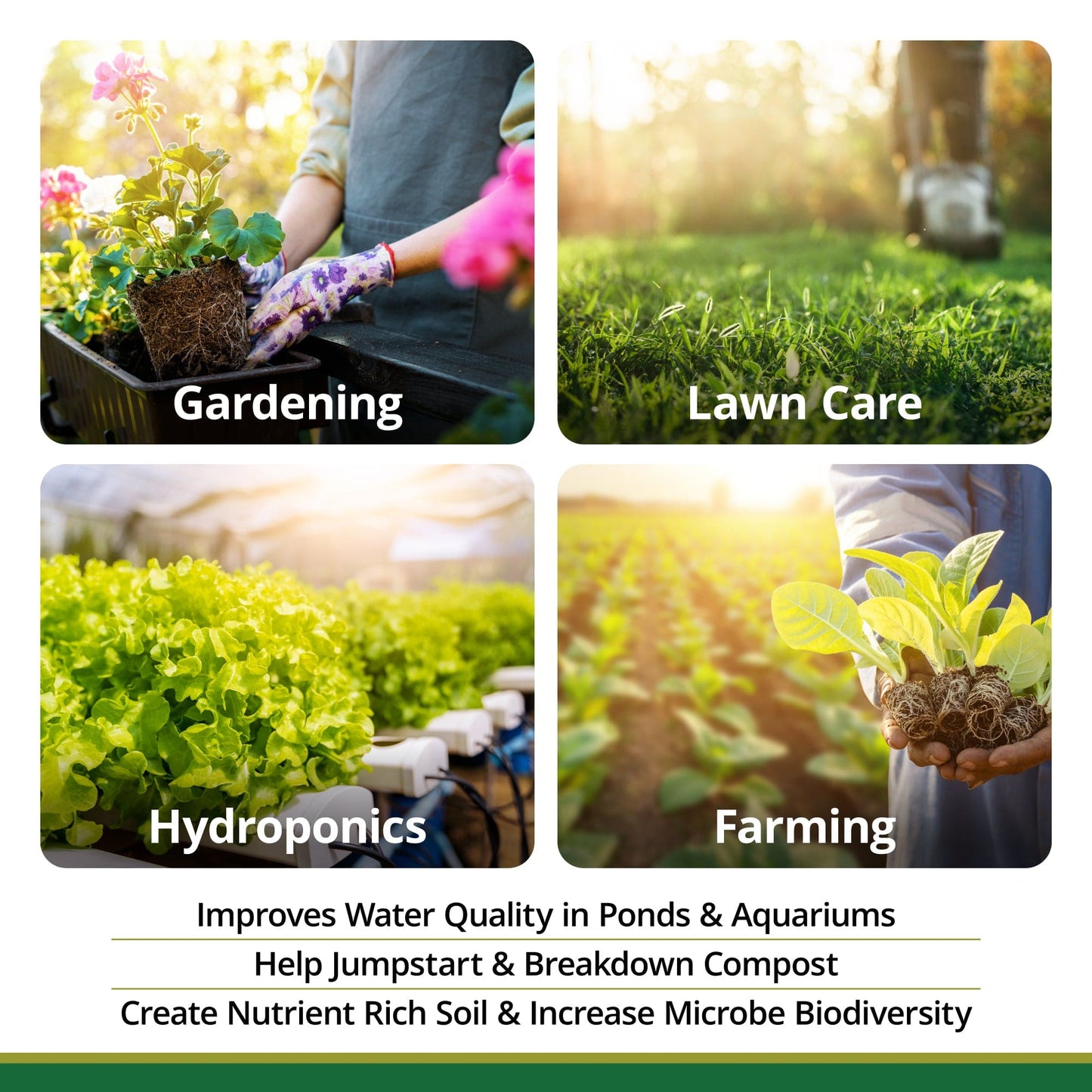 Enmienda de suelo inoculante microbiano EM•1®