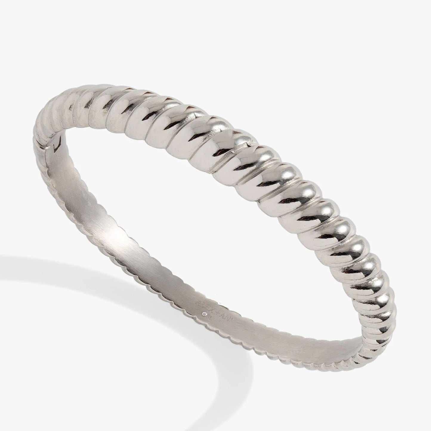Stainless steel rope-textured bangle by ALEX AND ANI on Tampa Home & Garden Store