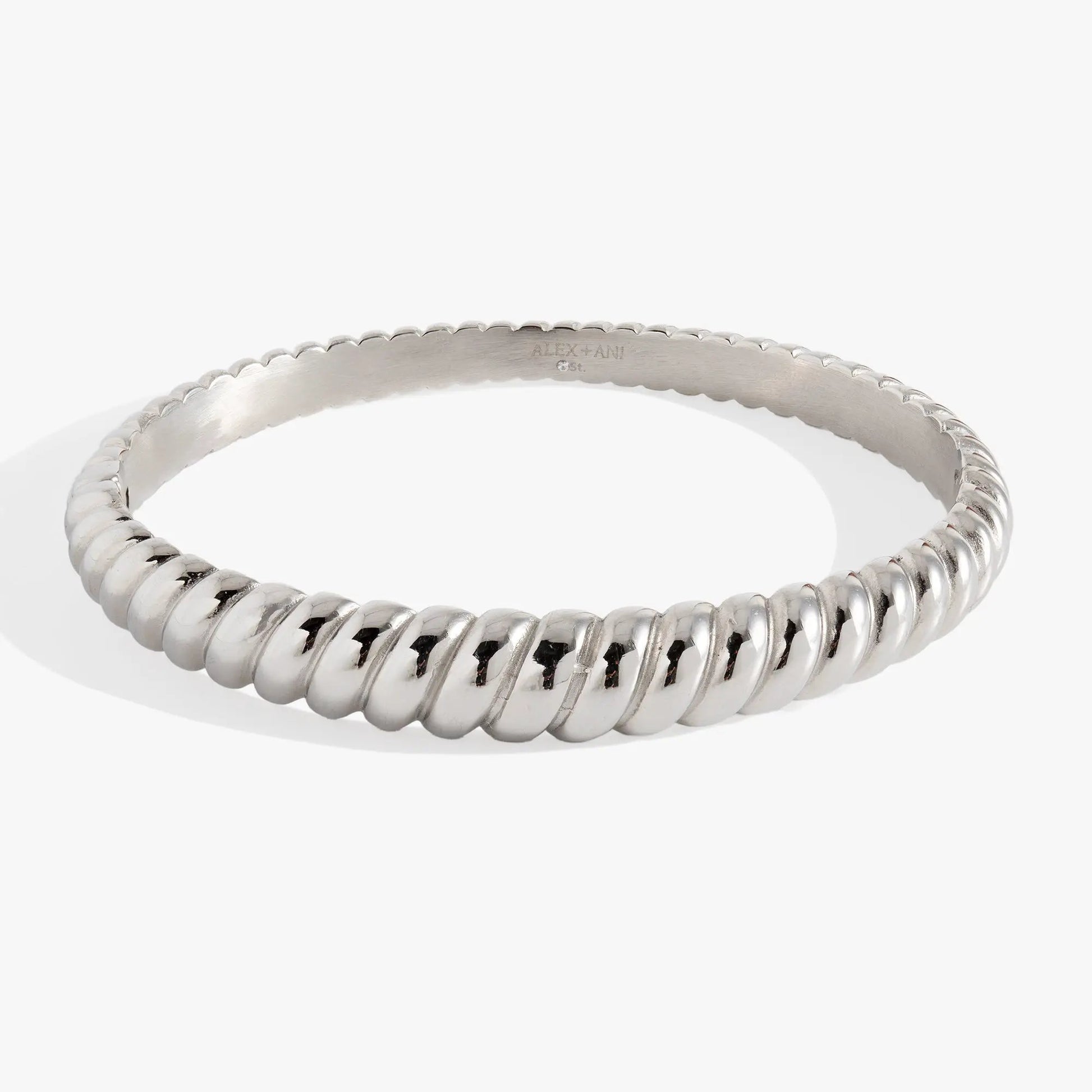 Stainless steel rope-textured bangle bracelet, silver-tone finish, ALEX AND ANI on Tampa Home & Garden Store