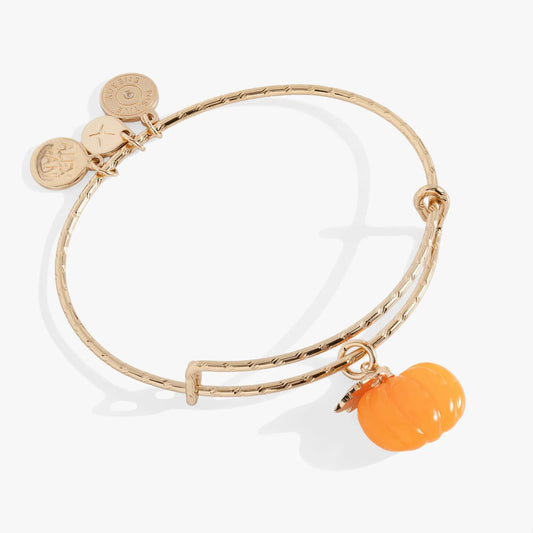 Pumpkin Textured Bangle bracelet by ALEX AND ANI in rose gold with pumpkin charm on Tampa Home & Garden Store