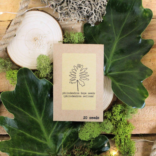 "The Popular Kids" Houseplant Seed Collection