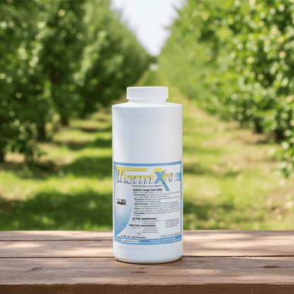 Extrait de yucca Therm X70 (pinte)