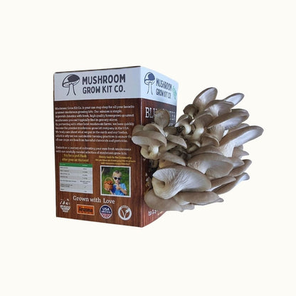 Premium Blue Oyster Mushroom Growing Kit - 5 LBS