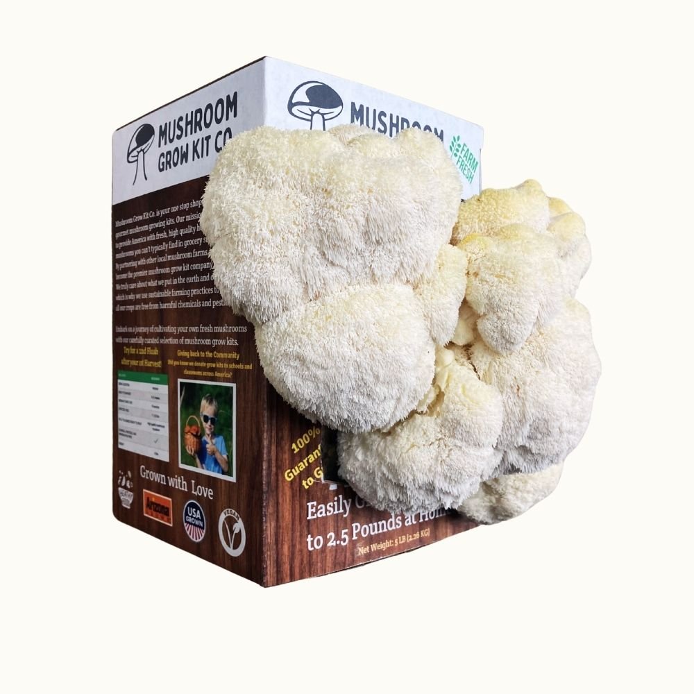 Premium Lion's Mane Mushroom Growing Kit - 5 LBS